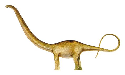 Mamenchisaurus Dinopedia Fandom Powered By Wikia