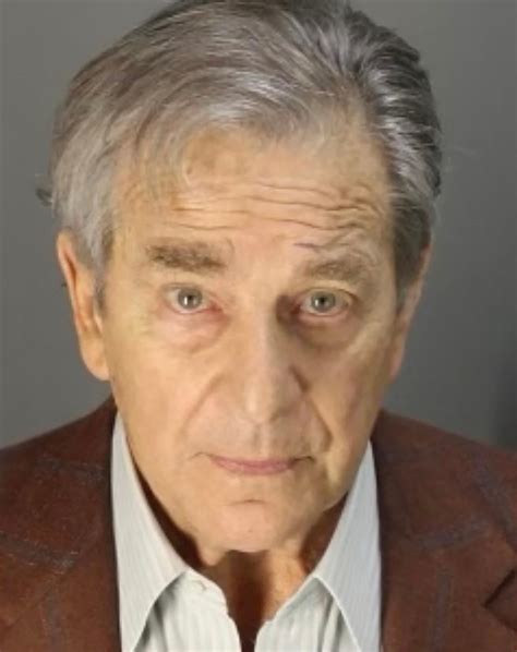 Mugshot from Paul Pelosi's DUI arrest revealed