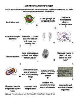 In 1833, german botanist matthias schleiden and german zoologist theodor schwann proposed that all plants and animals are composed of cells and that cells were the basic. Cell Theory & Cell Intro Match Game by Amy Cook | TpT