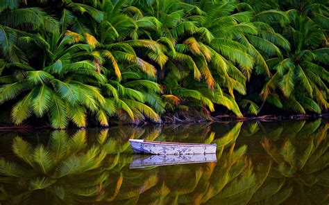Wallpaper Sunlight Landscape Forest Boat Garden Lake Water