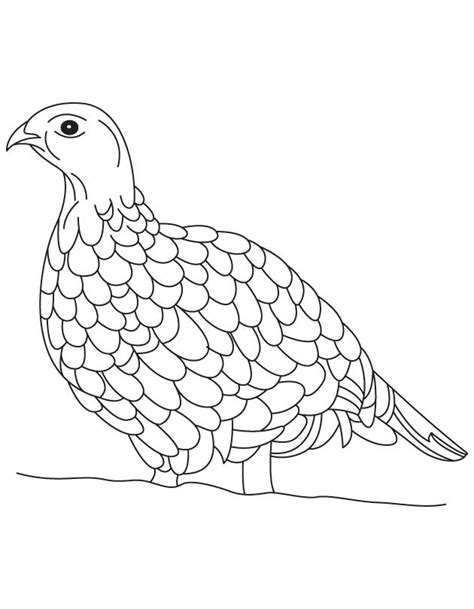 You can use our amazing online tool to color and edit the following state bird coloring pages. Pennsylvania State Bird coloring page - Free Coloring Library