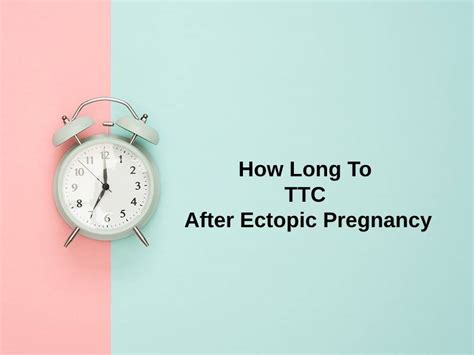 How Long To Ttc After Ectopic Pregnancy And Why