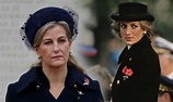 Sophie Countess of Wessex news: 'Glimpse' into royal life 'if Diana was ...