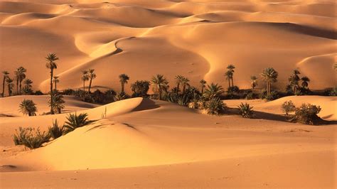 Beautiful Sahara Desert North Africa Wallpaper Hd Wallpapers