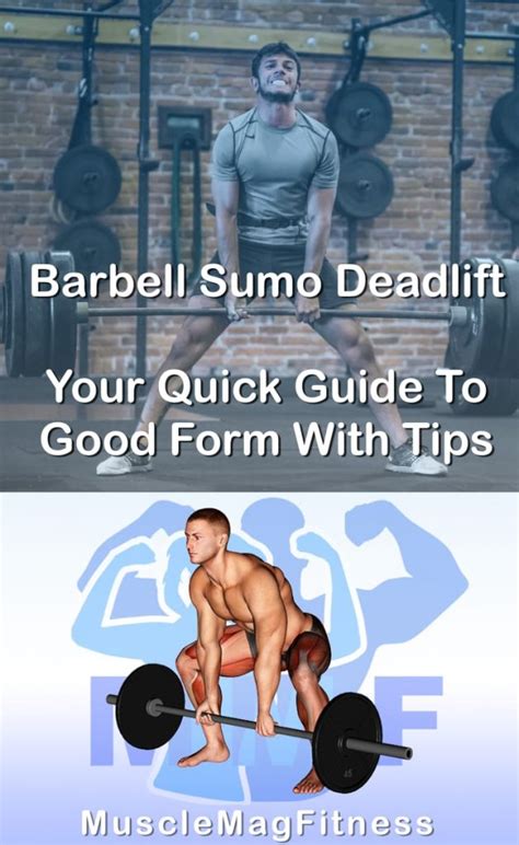 Barbell Sumo Deadlift Your Quick Guide To Good Form With Tips