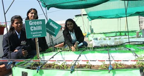 Roof Top Organic Farming A Unique Initiative By The Students Of