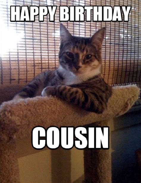 ️ 🙋‍♂️ 24 Awesome Happy Birthday Cousin Meme Funny Cat