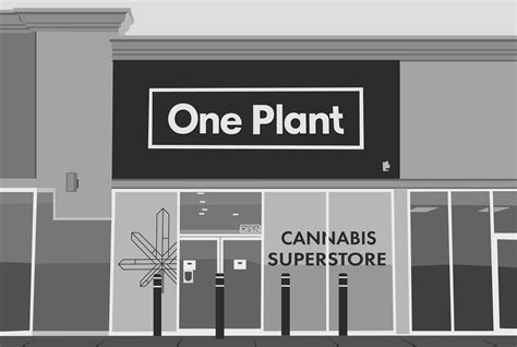 Cornwall's Best Cannabis Selection | One Plant Cornwall
