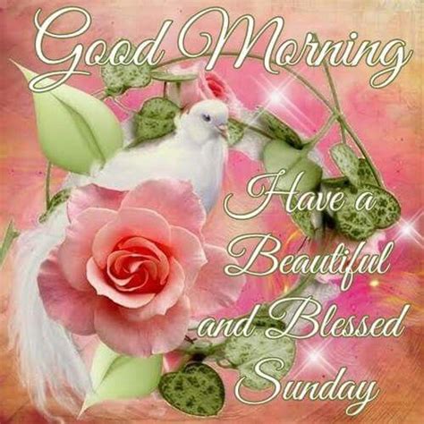 Good Morning Have A Blessed And Beautiful Sunday Pictures Photos And
