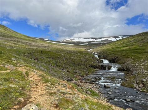 Best Hikes And Trails In Hornstrandir Alltrails