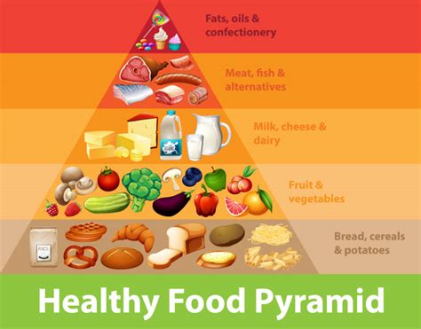 Free Vector Healthy Food Pyramid Chart