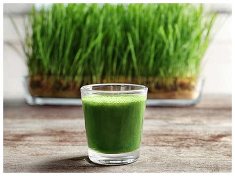 juice wheatgrass health drinks benefits