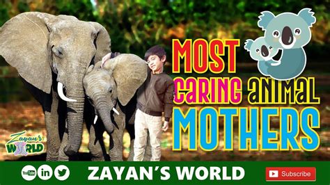 The Most Amazing Animal Moms Ever Motherly Animals Mothers Day