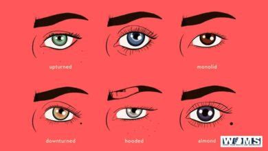 Eye Shapes Chart Male