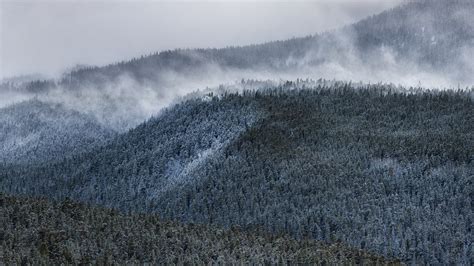 1920x1080 Foggy Forest Mountain 1080p Laptop Full Hd Wallpaper Hd