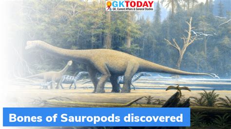 Meghalaya 100 Million Year Old Bones Of Sauropods Discovered Gktoday