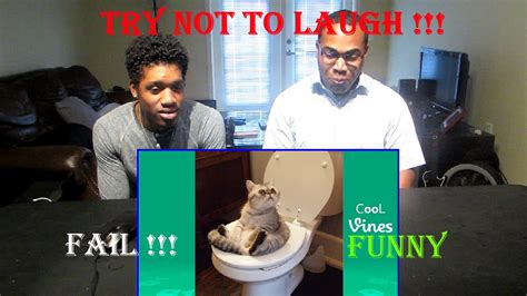 Try Not To Laugh Challenge 1 Funny Cat And Dog Vines Compilation 2017