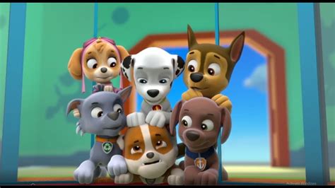Paw Patrol S01e23 Best Funny Moment Compilations Youtube