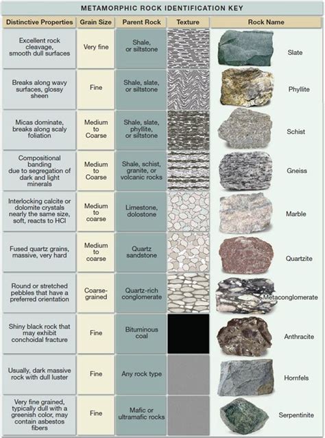 Place Each Of The Metamorphic Rocks Supplied By Your In