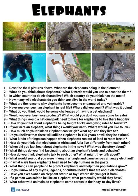 25 Elephants Conversation Questions In 2023 Conversation Questions