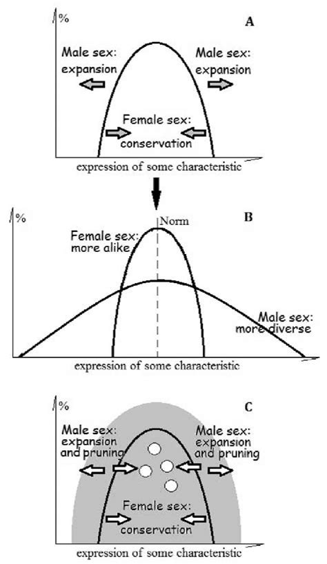 Shapes Of Distribution Of Phenotypes And Functional Roles Of Two Sex Download Scientific