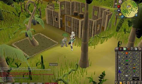 (4 days ago) current drop rate of osrs pets & best ways to get tangleroot. Osrs Calquat — Netliguista