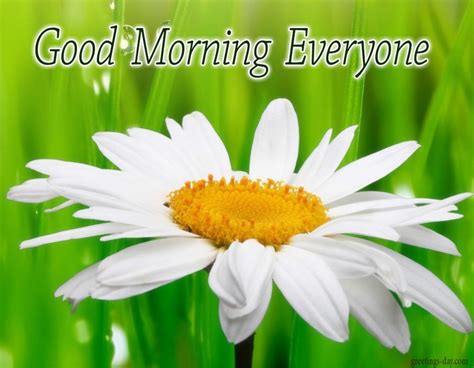 Good Morning Everyone Good Morning Wishes Images