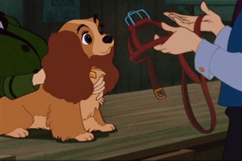 Lady And The Tramp Disneys Lady And The Tramp Image 9614732 Fanpop