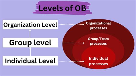 Levels Of Organizational Behavior Scope Of Ob Bokastutor