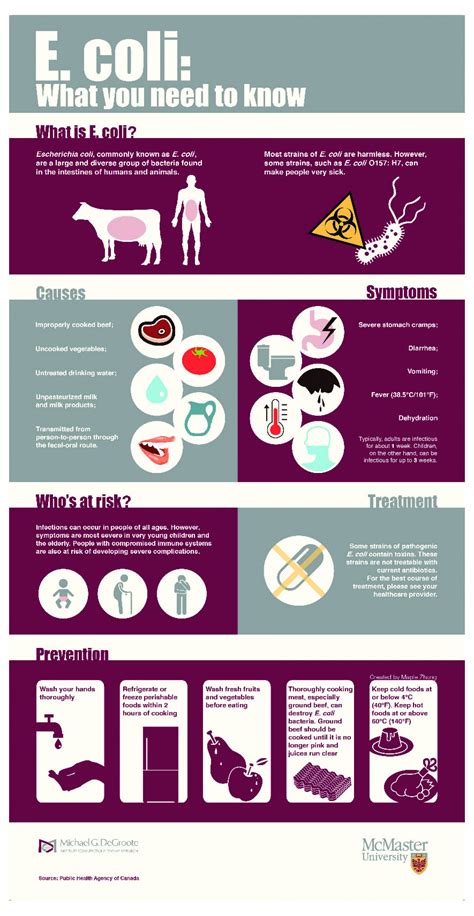 What you need to know about E. coli | Visual.ly Food Safety Chart, Food