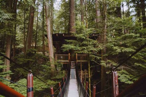 What To Expect At Capilano Suspension Bridge Park In Vancouver Canada