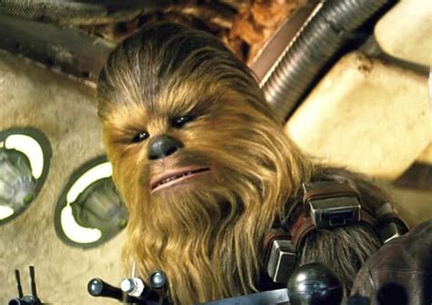 Chewbacca Finn And Poe Spotted Not Far Far Away From Aylesbury For