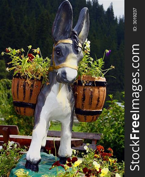 7 Donkey Flowers Free Stock Photos Stockfreeimages
