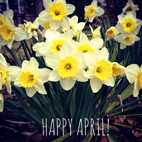 Happy April ~ Letter From The Editor