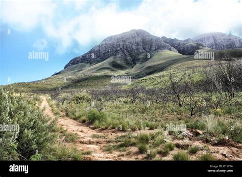 Helderberg Mountain In South Africa Stock Photo Alamy