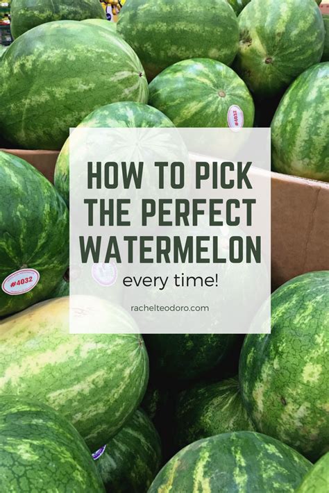 How To Pick The Perfect Watermelon Every Time