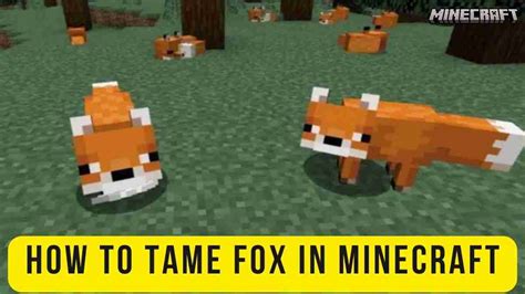 How To Tame Fox In Minecraft Minecraft Guide