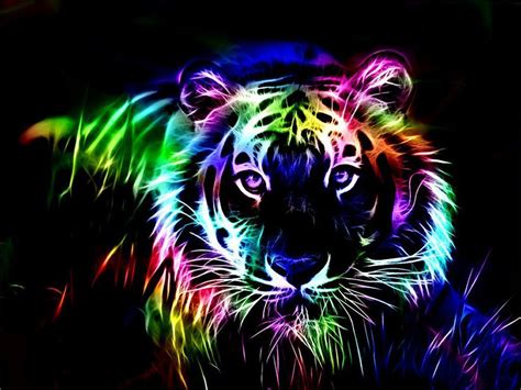 Coloured Tiger Wallpapers Wallpaper Cave