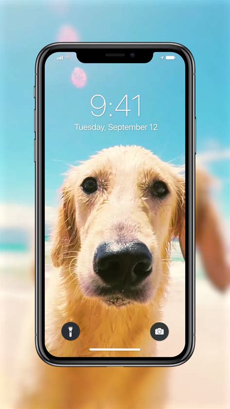 Dog Live Wallpapers