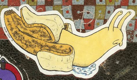 Banana Slug By Strangerthanever On Deviantart