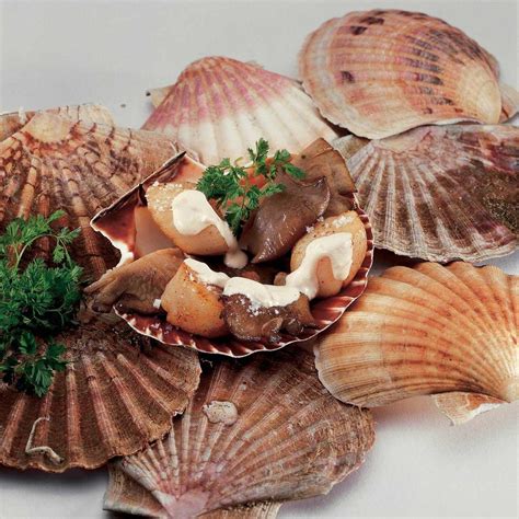 À la poêle à la vapeur au four comment cuire des noix de Saint