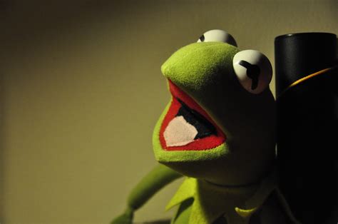 Kermit Kermit The Frog Handheld Shot By Lamplight Virtualraider Flickr