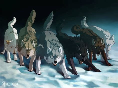 🔥 Download Best Anime Wolves Image By Justinr93 Anime Wolves
