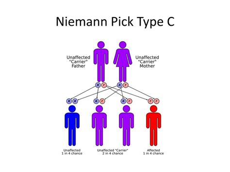 Ppt Diagnosing Niemann Pick Disease Type C Powerpoint Presentation