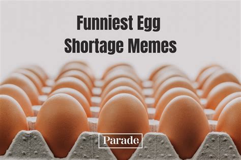 20 Best Egg Shortage Memes Parade