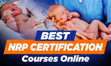 Best Nrp Certification Courses Online Crush Your Exam