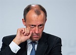 Friedrich Merz im Porträt