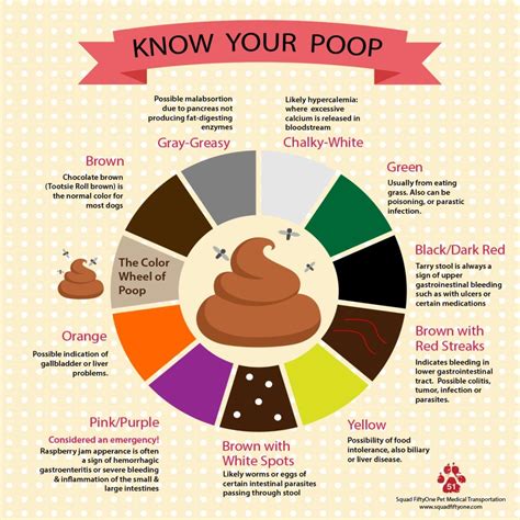 The Color Of Poop Squad Fiftyone Pet Emergency Response