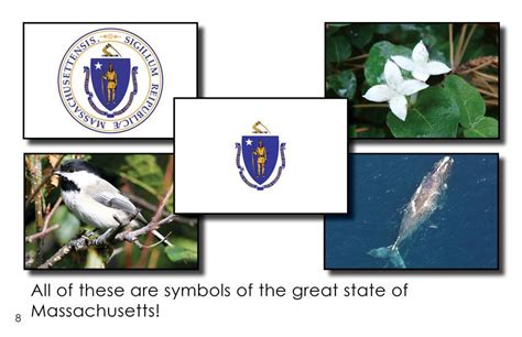 Massachusetts State Symbols First Grade Book Wilbooks