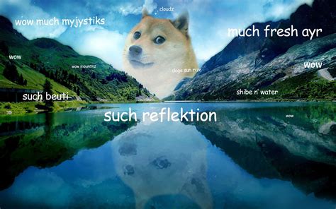 Dog Meme Wallpapers Top Free Dog Meme Backgrounds Wallpaperaccess